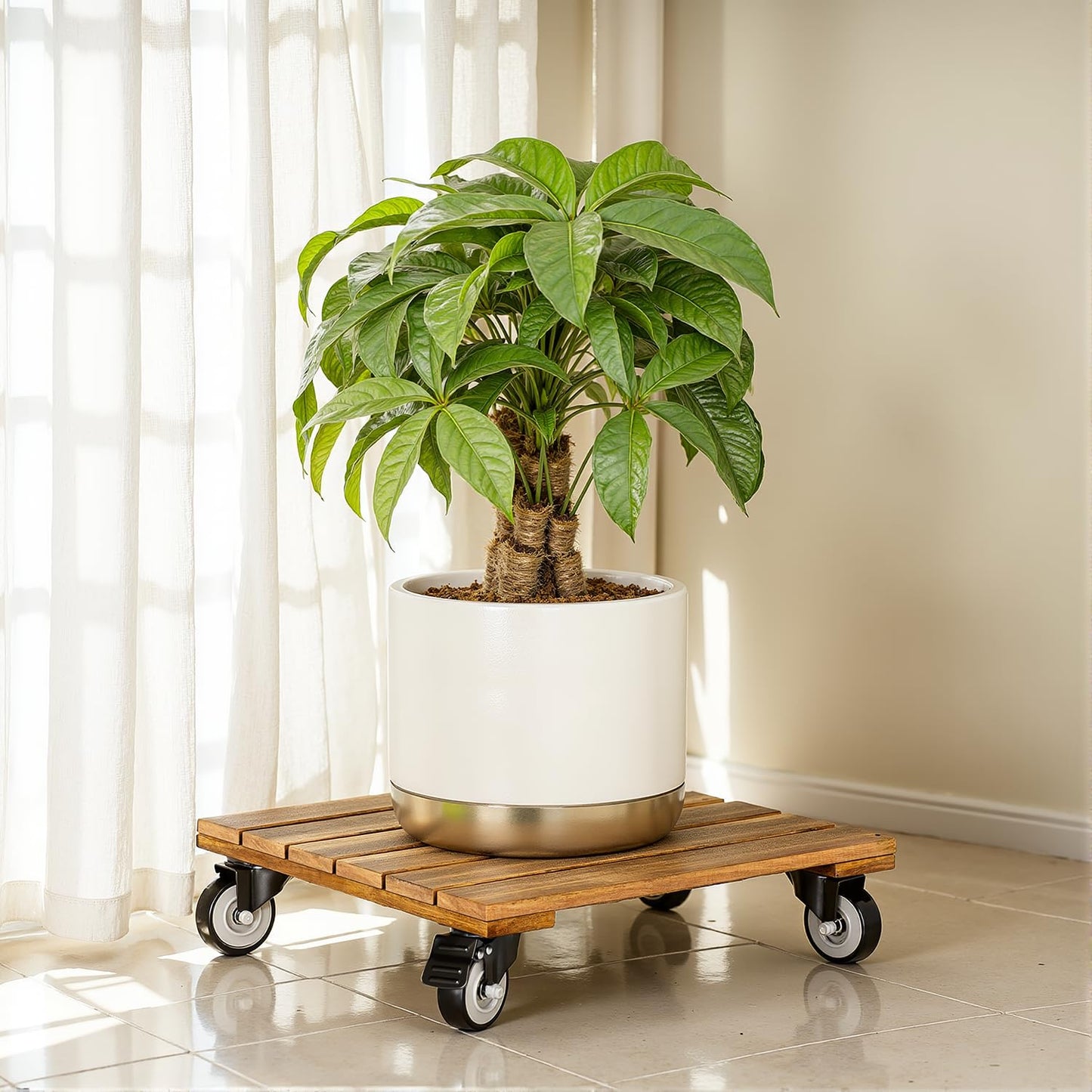 2pack Wood Plant Caddy With Wheels Heavy Duty, 264 Lbs Capacity, Upgraded 12 Inch Acacia Hardwood Plant Dolly, Plant Stand with 360° Lockable Wheels, Plant Caster for Heavy Objects Hauling - Natural Wood