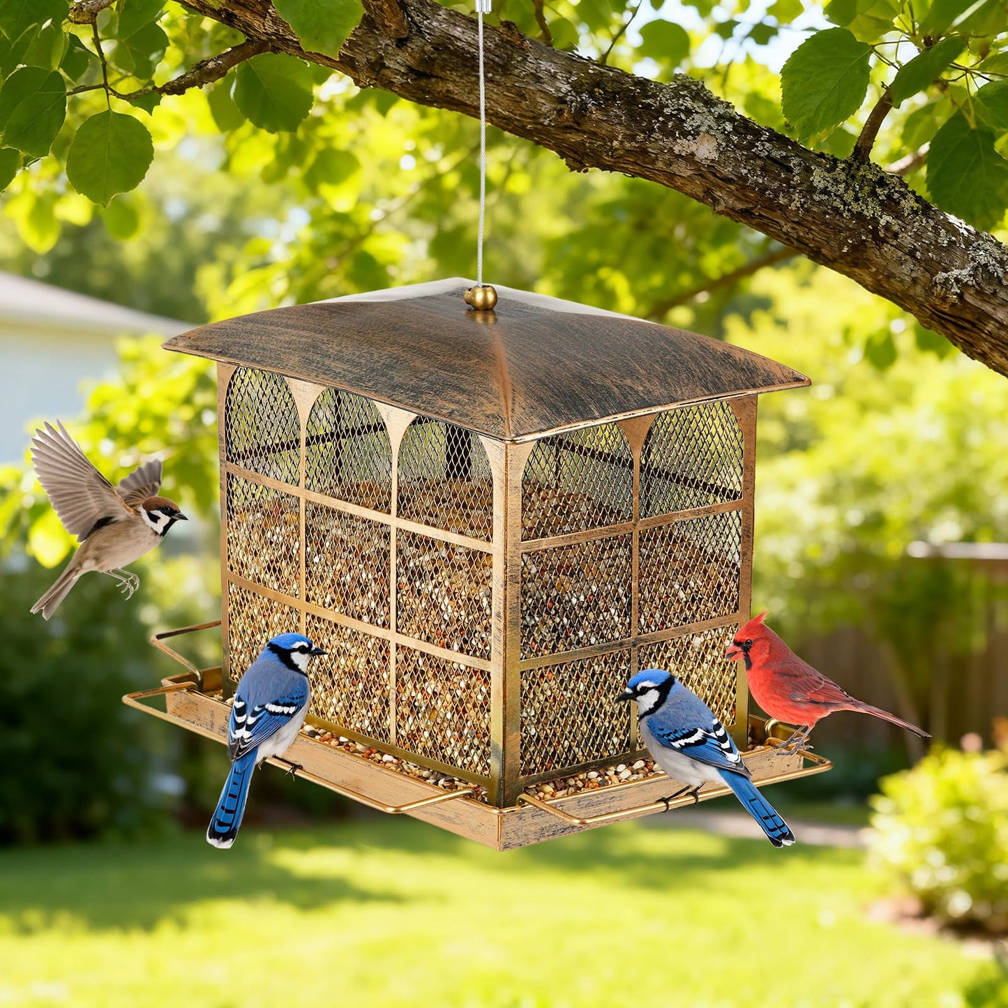 Large Bird Feeder, Heavy Duty Metal Bird Feeders for Outdoor Hanging, 9.5LB Seed Capacity Wild Birdfeeder for Outside Garden Decoration