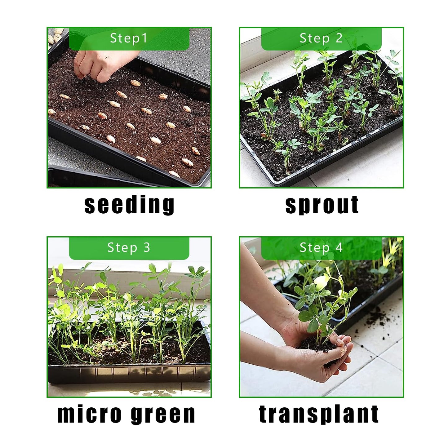 RooTrimmer Plant Growing Nursery, Standard 1020 Trays Plastic Sturdy Farmer Self Seedling Tray for Microgreens Indoor Nursery Pots Transplantation (5-Pack, 21.6"Ă—11.2", 2.52" Deep, no Holes)
