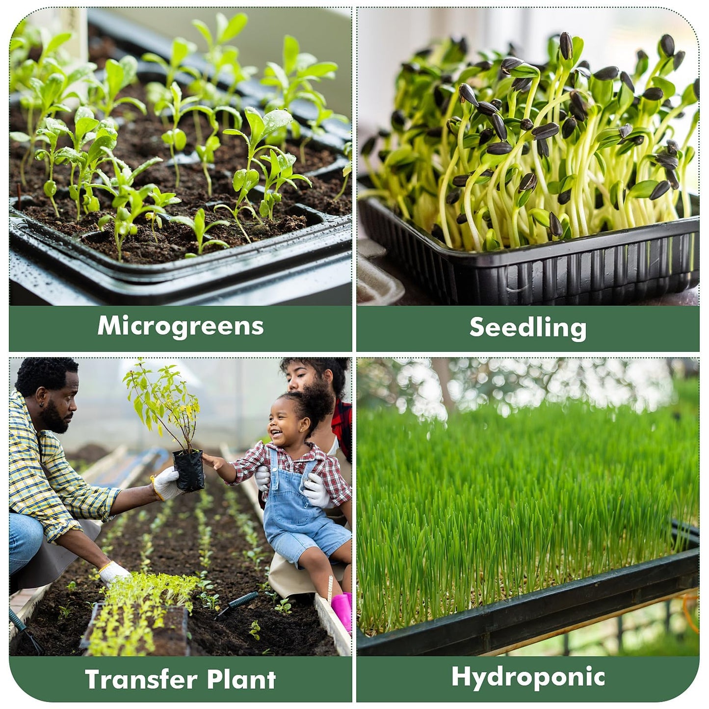 Sckee Upgraded 5 Pack Plant Growing Trays Seed Starting Tray Microgreens Growing Trays Seedling Plant Germination Starter Tray Transplant Fodder Flats, No Holes, No Leakage, Reusable (1017)