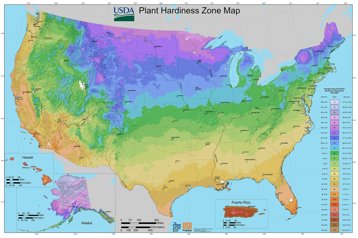 Van Zyverden Tall Phlox Nora Leigh Set of 3 Roots