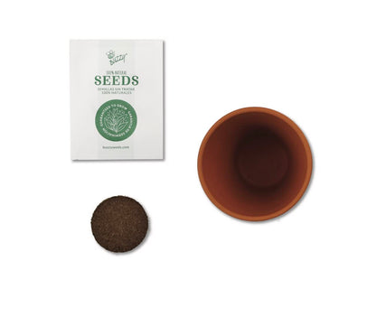 BUZZY Seeds Mini Terracotta Pots 12-Pack with Plant Seeds, Poppy, Sunflower, Daisy, Cactus and Forget Me Not, All-in-One Seed Starter Kit, Indoor Outdoor Gardening Gift, Wedding Favors, Mother's Day