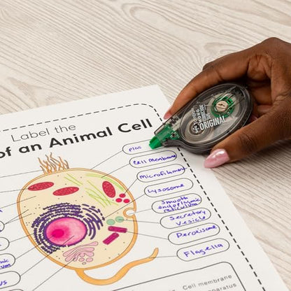 Tombow 68720 MONO Original Correction Tape, 10-Pack. Easy To Use Applicator for Instant Corrections, White, 10 Count (Pack of 1)
