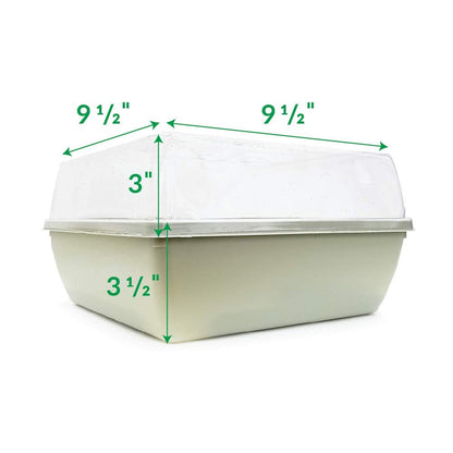 Jiffy Seed Starter Tray Kit - Self-Watering, High Germination Rate, Seedling Tray - 2 Pack, Peat/Plastic
