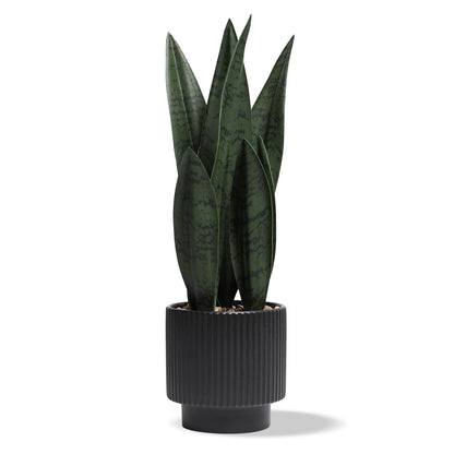 Chonsun Artificial Plants Sansevieria Snake Plant with Black Ceramic Pot Desk Small Fake Plant for Indoor Living Room Kitchen Bathroom Farmhouse Home Decor