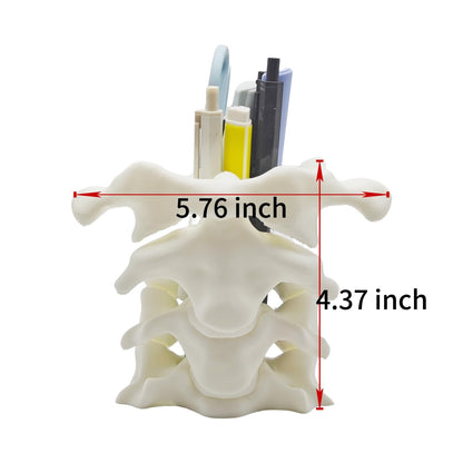 TIME&TRAVE Unique Spine Pen Holder for Desk, Pencil Holder Desk Organizers, Office Supplies Decorations Idea Gift for Doctors, Nurses, Chiropractors