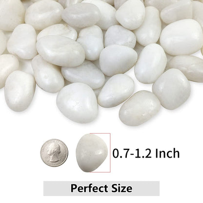 YISZM White Pebbles for Indoor Plants, Natural Polished River Rocks, Small Decorative Stones for Planters Vase Fish Tank Aquariums Landscaping Garden, 5lbs