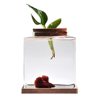 Desktop Betta Fish Tank with Wood Lid and Bamboo Stand Small Fish Bowl Glass for Beta Fish Hydroponic Plant Terrarium Aquarium Starter Kit 0.5 Gallon