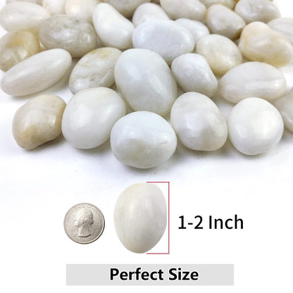 YISZM 20lbs White River Rocks, 1-2 Inch Natural Pebbles for Indoor Plants, High Polished Decorative Stones Vase Filler Fish Tank Aquariums Landscaping Garden Outdoor and Indoor DIY