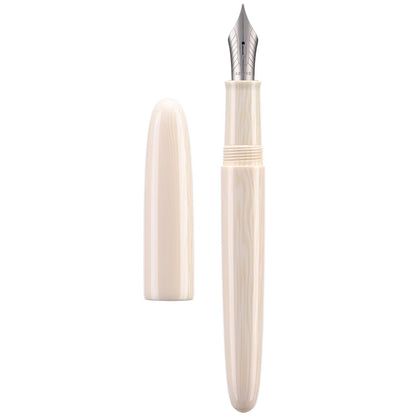 Asvine C80 Fountain Pen #8 Fine Nib Large Handcraft Pen with Converter Pen Box Collection Set (Ivory)