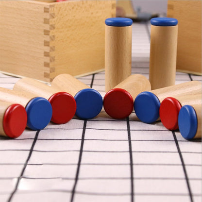 LEADER JOY Montessori Sensorial Auditory Material - Sound Cylinders Sound Boxes Kids Educational Toys for Todder