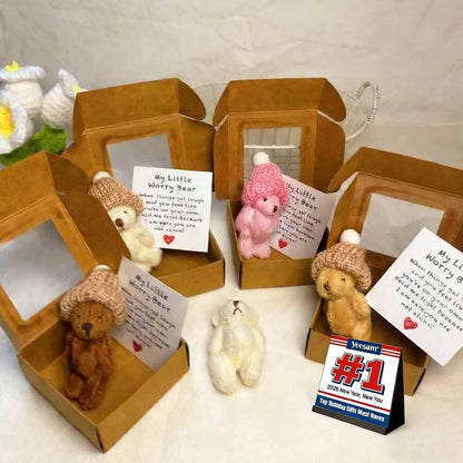 Handmade Mini Plush Teddy Bear in Box, Little Bear in A Box, My Little Worry Bears, Mini Pocket Bears Hug Plush with Emotional Uplifting Support Card, Soft Handmade Teddy Keepsake for Lovers(4pcs)