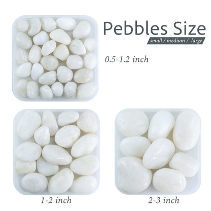 GreenVibe River Rocks for Landscaping,20lbs White Pebbles for Indoor Plants, 0.5-1.2 Inch Decorative Rocks for Planters, High Polished Stones for Vase Filler Fish Tank Garden