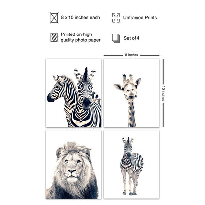 Black and White Photography African Animals Art Print Set, Wall Art Posters - Unique Contemporary Decor for Home or Office - Great Inexpensive Housewarming Gift for Nature Lovers, 8x10 Photos Unframed