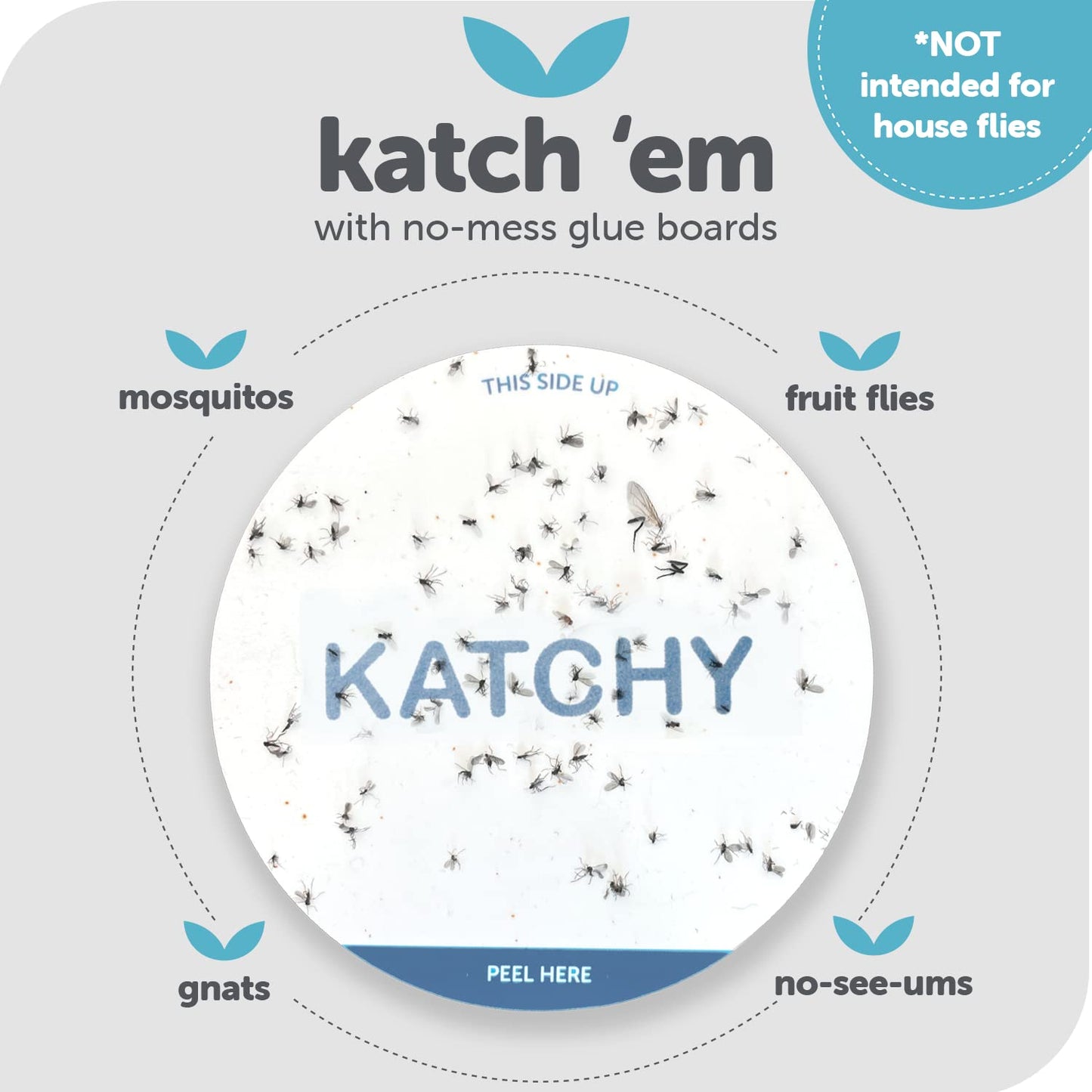 Katchy Original and Midnight Glue Board Refills (16 Pack) – Catcher & Killer for Mosquito, Gnat, Moth & Fruit Fly – Indoor Flying Insect Trap Glue Board Refills – Non-Zapper Traps for Buzz-Free Home