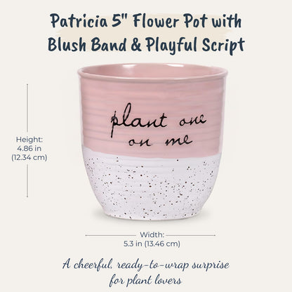 Blue Sky Clayworks Patricia 5" Flower Pot, Ceramic, 6" D x 5" H, Blush Script & Speckles