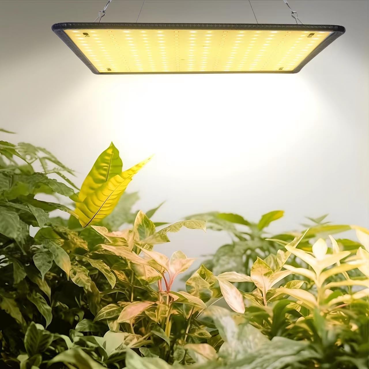 Full Spectrum LED Grow Light for Indoor Plants with UV&IR, Sunlight Simulating Plant Hanging Grow Light for Seedlings, Vegetables, Peppers (60W Actual Power)