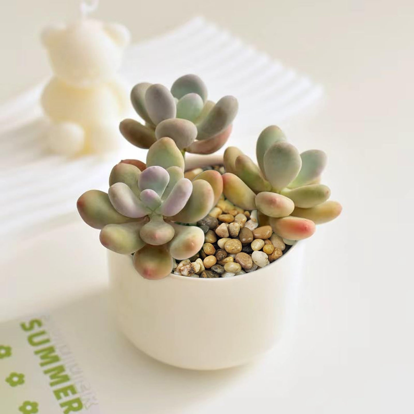FANTIAN 5 lbs Polished Pebbles, 3/8 Inch Pea Gravel for Plants, Decorative Stones River Rocks for Succulent Soil Cover, Cactus, Aquarium, Vase and Outdoor Garden Landscaping