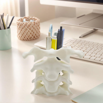 TIME&TRAVE Unique Spine Pen Holder for Desk, Pencil Holder Desk Organizers, Office Supplies Decorations Idea Gift for Doctors, Nurses, Chiropractors