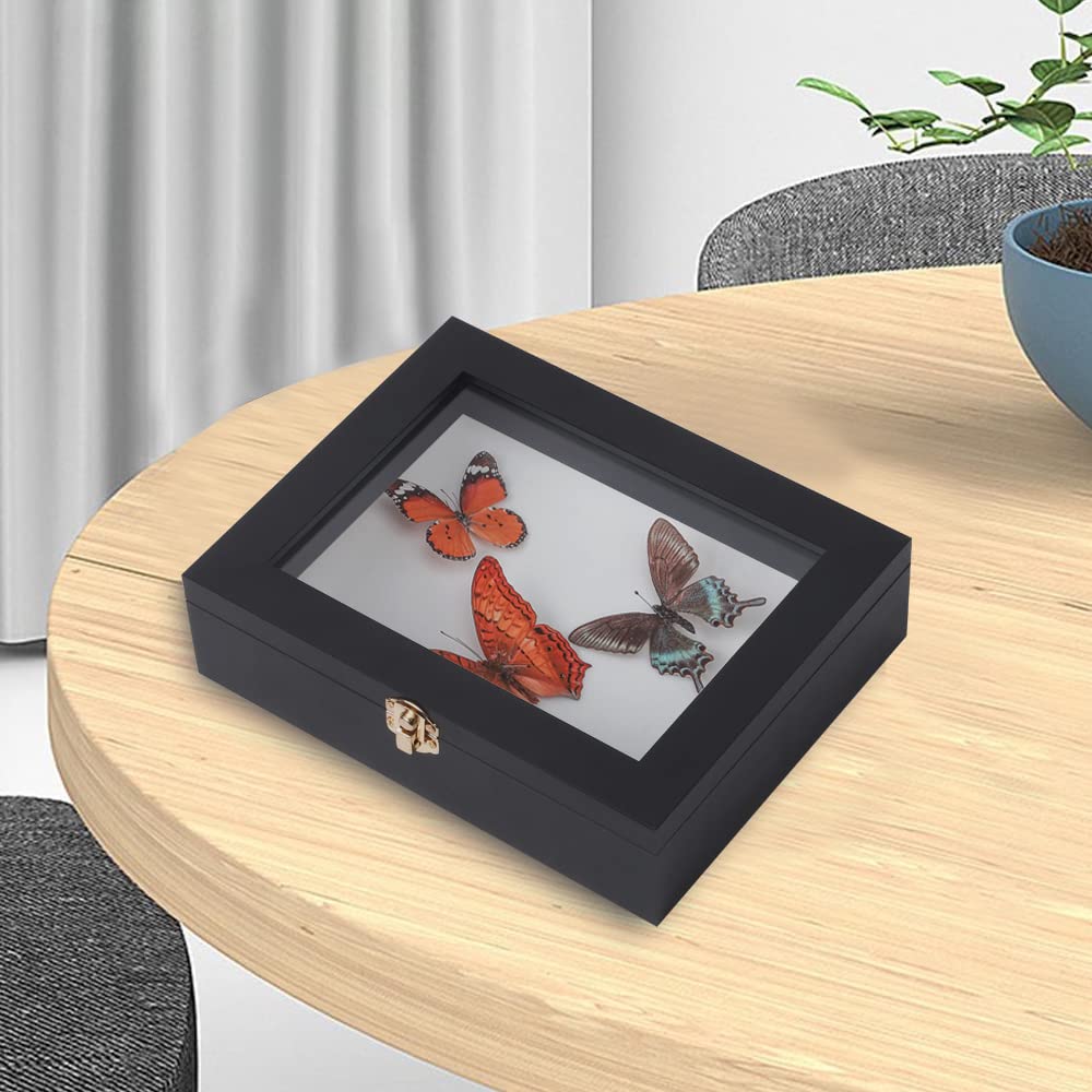 IHEIPYE Insect Display Case Wall Mount Bug Display Case Collection Box for Butterfly Specimen with Anti Fade UV Protection Acrylic Top Eva Foam Pinning Board and 3 Sizes Pins Insect Shadow Box