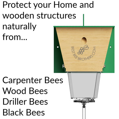 Best Bee Brothers Ultimate Pro Carpenter Bee Trap for Outside with Extra-Large, Clear External Receptacle, Internal Bee Vault & Spring-Loaded Door, 4.2” D x 5.8” W x 7.5” H (2 Pack)
