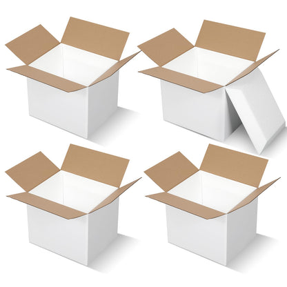 Feifeiya 4 Pack Insulated Shipping Cooler with Foam Panels 11" x 9" x 9" Reusable Shipping Box for Frozen Food Mailing Packing