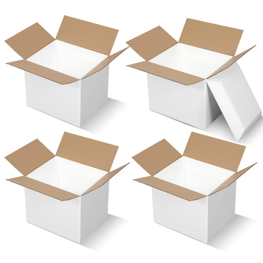 Feifeiya 4 Pack Insulated Shipping Cooler with Foam Panels 11" x 9" x 9" Reusable Shipping Box for Frozen Food Mailing Packing