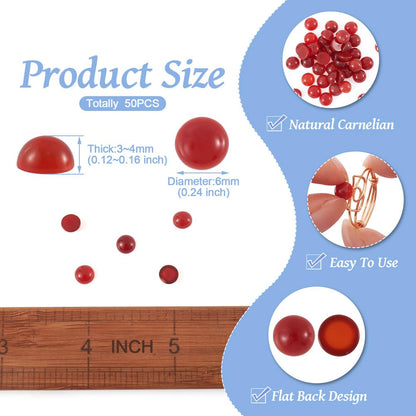 Fashewelry 50Pcs Natural Carnelian Cabochon Stone Half Round Beads 6mm Flat Back Gemstone Chakra Healing Crystal Dome Cover Cabs for Jewelry Making