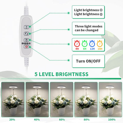 GYTF 2 Pack Halo Plant Grow Light, 6000K White LED Full Spectrum Growing Lamp for Indoor Plants, Succulents, Mini Bonsai, Small Plants, Height Adjustable, Dimmable & Timer 4/8/12/18Hrs