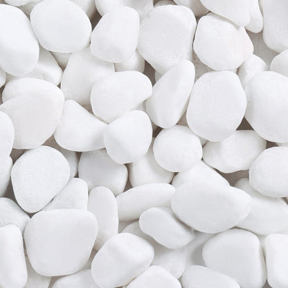 SIDONG 5 lbs White River Rocks, 1.2-2 Inches Pebbles for Indoor Plants, Aquarium Rocks Used in Fish Tank, Decorative Stones for Plants, Vases, Home Décor, Crafting, Garden Landscaping