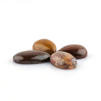 CRYSTALINES 4pcs, Wholesale Natural Dinosaur Bone Gemstones, Bulk Flatback Cabochon Fossil Stone, Polished Loose Supplies for Jewelry Making, Wicca Reiki Healing Crystals, Wire Wrap, Gem Collection