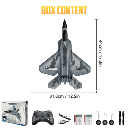 HAWK'S WORK 2 CH RC Airplane, F-22 Plane Ready to Fly, 2.4GHz Remote Control, Easy to Fly RC Glider for Kids & Beginners