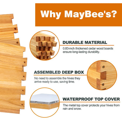 MayBee 10-Frame Beehive Starter Kit, Bee Hive Kit Dipped in 100% Beeswax, Bee Hives Boxes Starter Kit Includes Beekeeping Supplies Tool Kit and Bee Suit