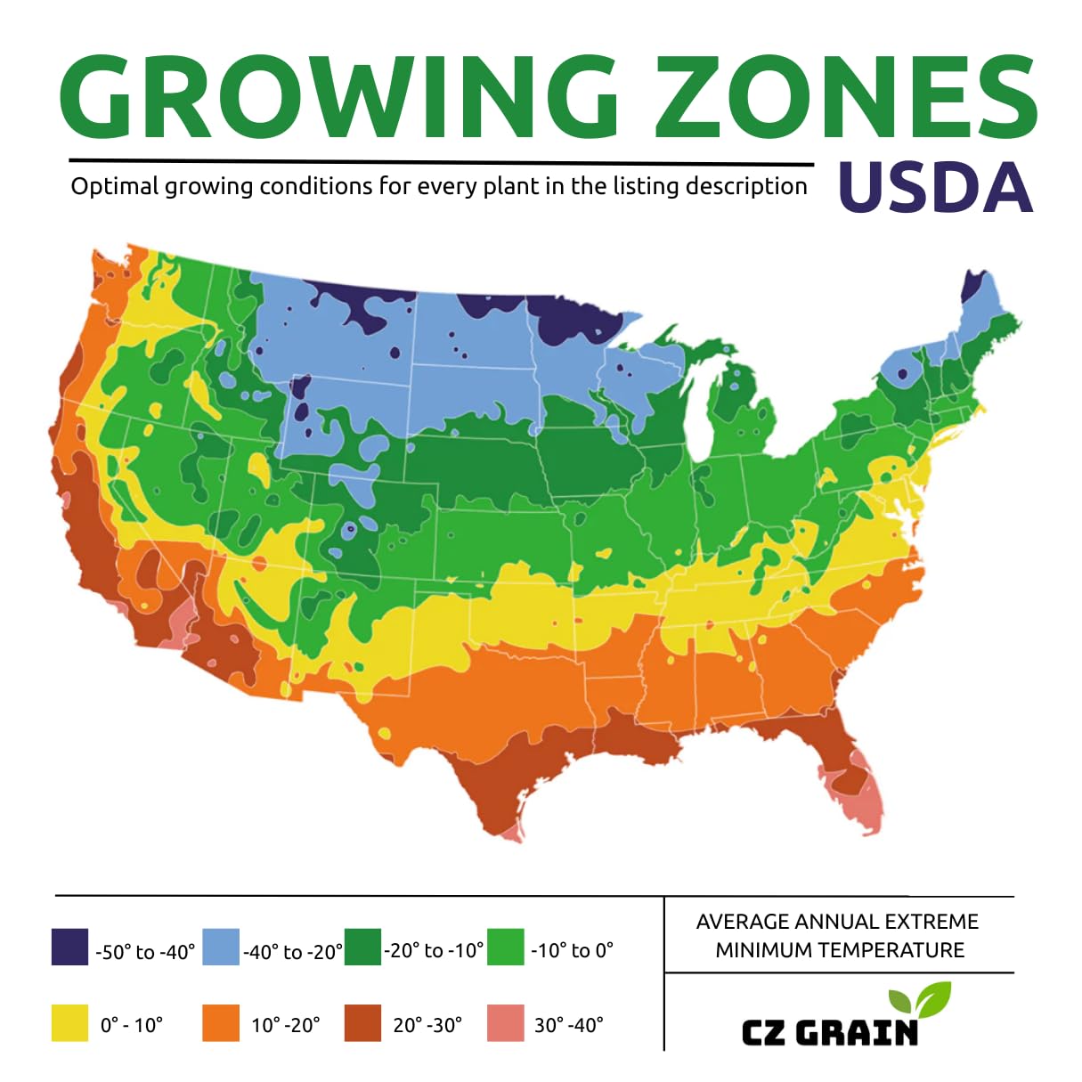 Constellation Caladium Bulbs for Planting - Perennial Hosta, Elephant Ears, Fancy (10 Bulbs)