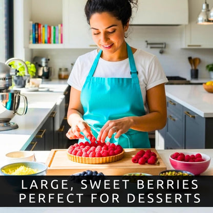 Joan J Raspberry Plants – Thornless Red Raspberry with Large Sweet Berries – Everbearing Fruit Plants for Home Gardens (3 Plants)