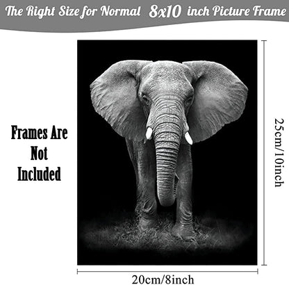 NIIORTY 4 Set-Black and White African Wild Animal Photo Wall Art,Tiger,Lion,Elephant, Leopard Picture Canvas Wall Poster Printing,Brave Inspirational For Bedroom Living Room Decor(8x10inch Unframed)