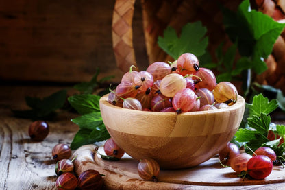 Pixwell Gooseberry Plant Live for Planting, Gooseberry Bush Live Plant Gooseberry Starter Plant Ready to Grow