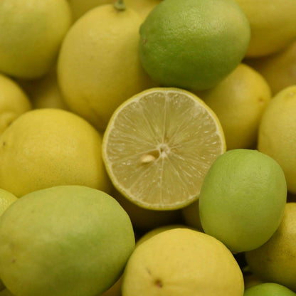 Live Plant - Dwarf Mexican Key Lime Tree - Live Citrus Plant - 26-30" Tall - 1 Gallon Pot