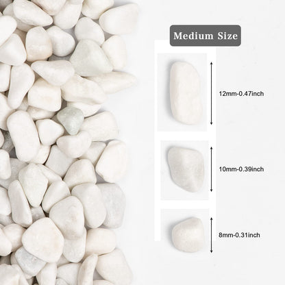 Ausluru 5lbs White Natural River Rocks, Polished Pebbles for Plants Garden, 0.3-0.8 inch Decorative White Stones, Ideal for Fish Tank, Vases, Crafting, Home Decor and Garden Landscaping Rocks,White