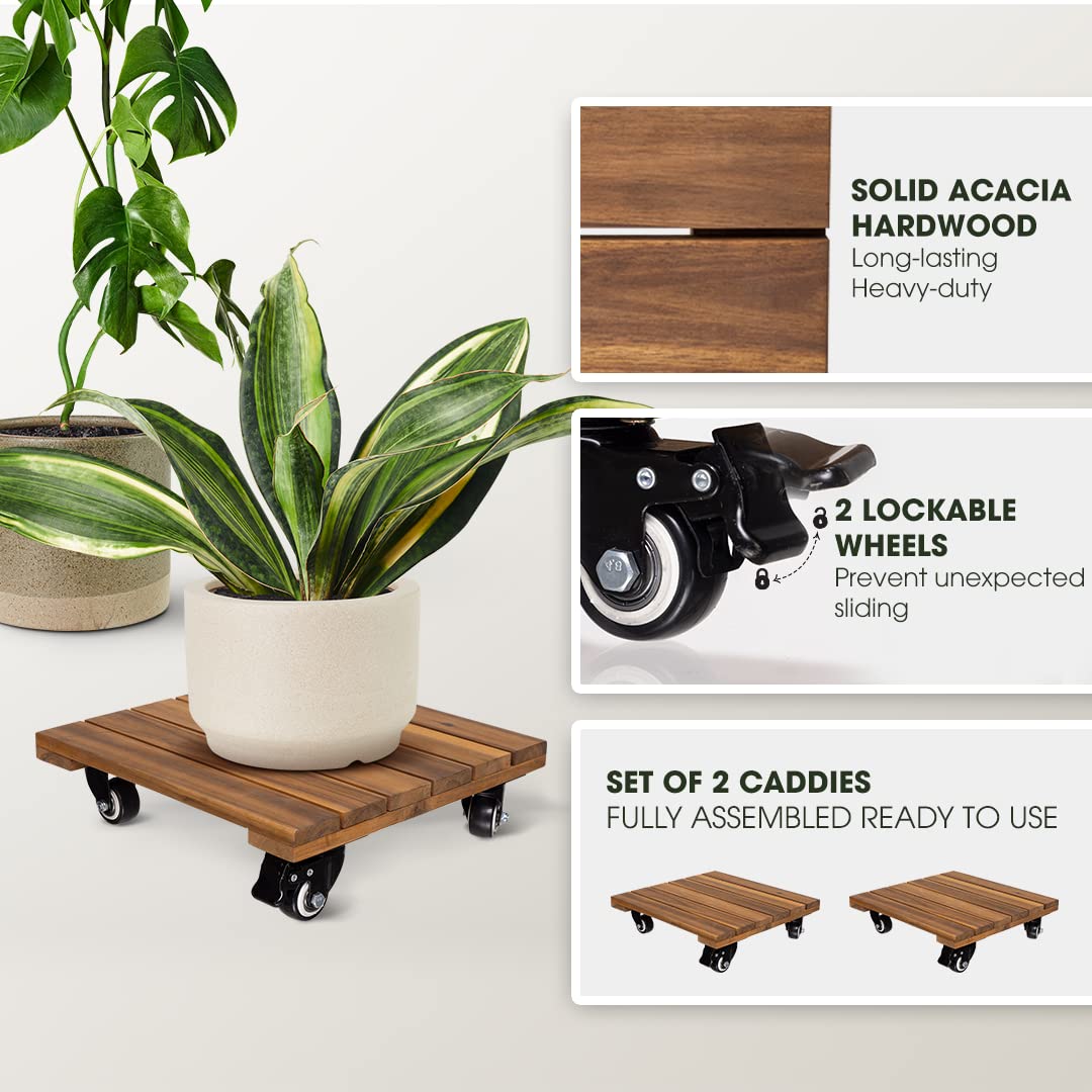 2pack Wood Plant Caddy With Wheels Heavy Duty, 264 Lbs Capacity, Upgraded 12 Inch Acacia Hardwood Plant Dolly, Plant Stand with 360° Lockable Wheels, Plant Caster for Heavy Objects Hauling - Natural Wood
