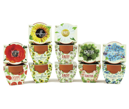 BUZZY Seeds Mini Terracotta Pots 12-Pack with Plant Seeds, Poppy, Sunflower, Daisy, Cactus and Forget Me Not, All-in-One Seed Starter Kit, Indoor Outdoor Gardening Gift, Wedding Favors, Mother's Day
