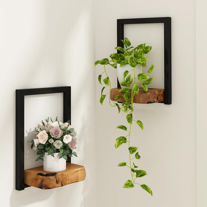 JOLLYMER Natural Edge Cedar Wood 2 Pack Wall Plant Holders, Window Planters Shelves, Indoor Plants Stands, Wall Decor Planter Hanging Shelf,12x9x5 inches