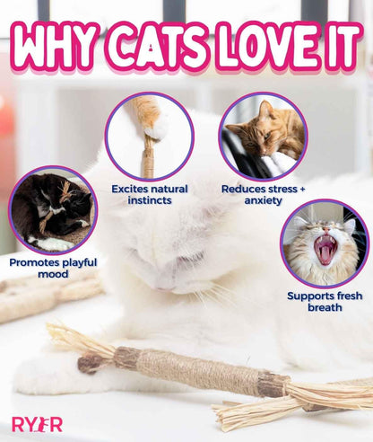 RYERCAT Silvervine Sticks for Cats - 100% Natural Cat Chew Toy for Aggressive Chewers and Kitten Teething - Pet Friendly, Smooth Finish, Irresistible Taste and Smell (5 Pack)