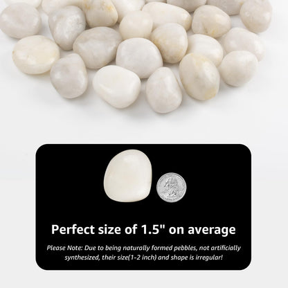 LOOIOOJ 10lbs River Rocks - 1-2 Inch Natural White Decorative Rocks for Potted Plants, River Rocks for Aquariums, and Landscaping (Weight : 10 LB, White)