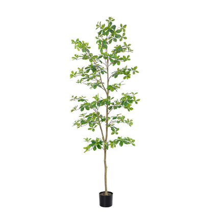 Bellacat Faux Black Olive Tree 7ft, Tall Faux Trees Indoor with Natural Trunk and Realistic Leaves. 7 Feet(84in) Artificial Tree for Home Office Décor.
