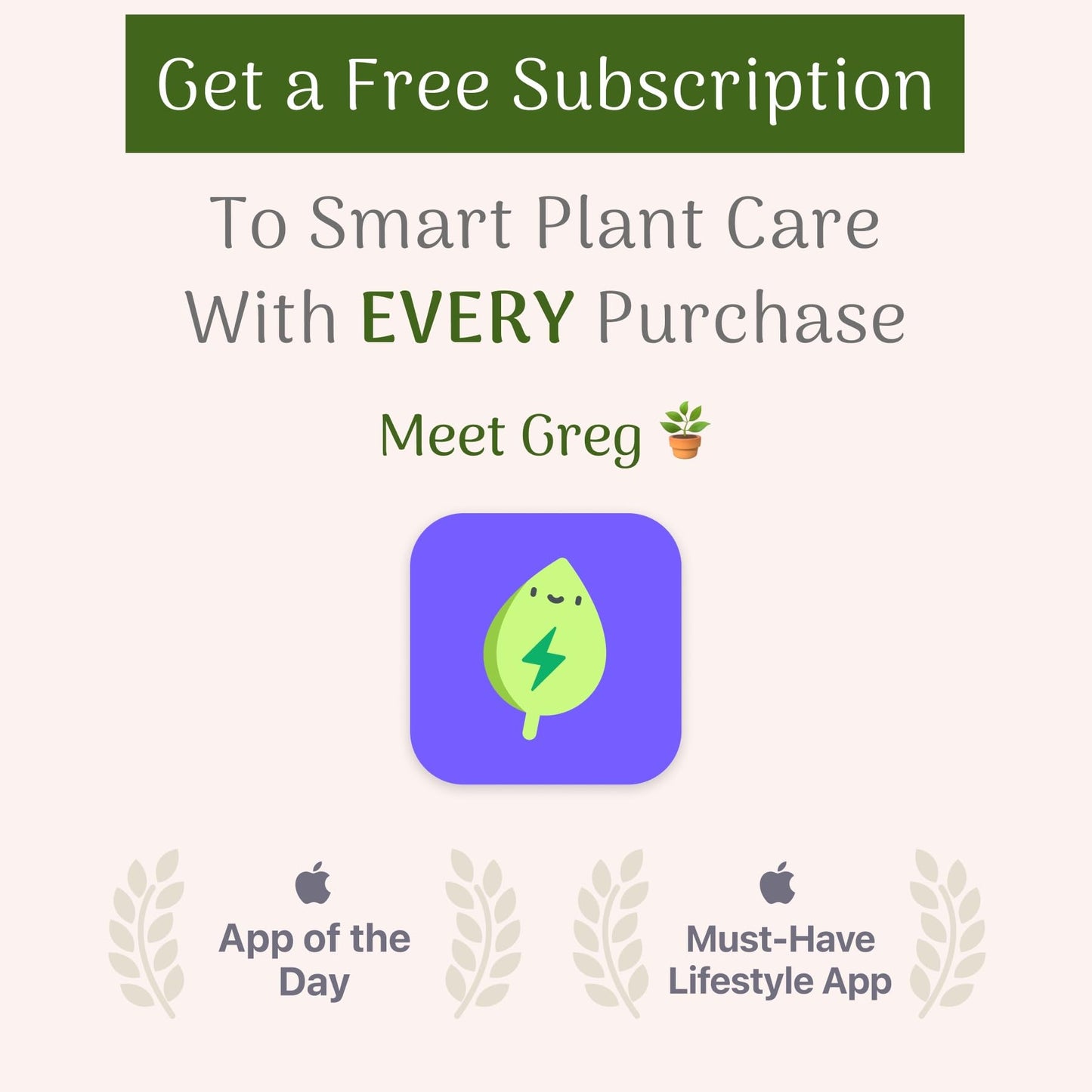 American Plant Exchange Live Windmill Palm Tree, Chusan Palm Tree, Plant Pot for Home and Garden Decor, 4" Pot, Pack of 3