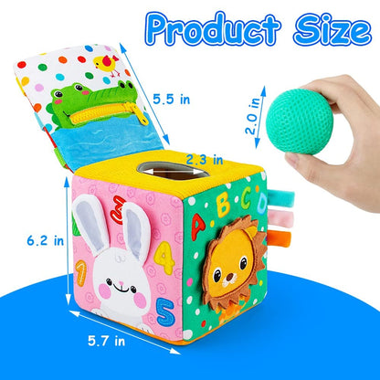 beetoy Sensory Busy Cube for Baby, Montessori Infant Toys with Textured Sensory Balls, Early Learning Travel Toys for Fine Motor Skills, Perfect Newborn Boy and Girl Gift