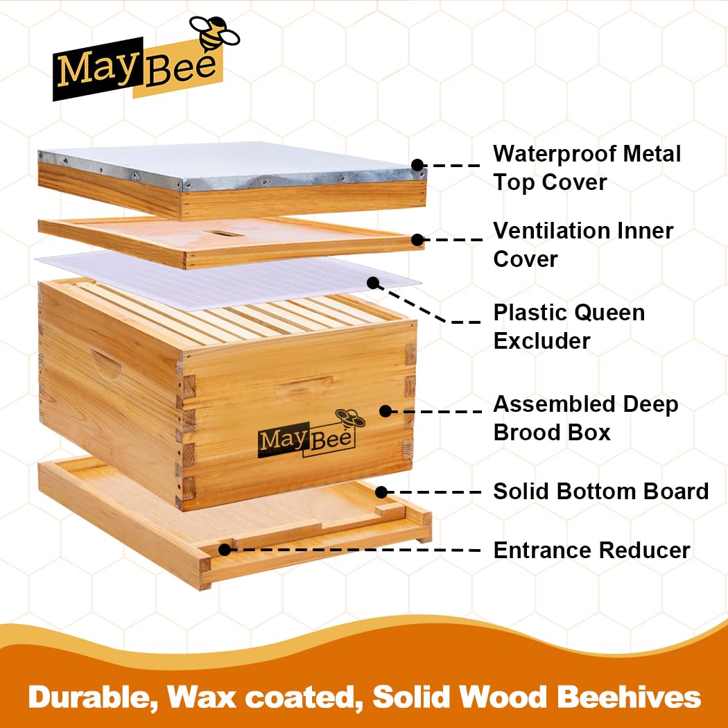 MayBee 10-Frame Beehive Starter Kit, Bee Hive Kit Dipped in 100% Beeswax, Bee Hives Boxes Starter Kit Includes Beekeeping Supplies Tool Kit and Bee Suit