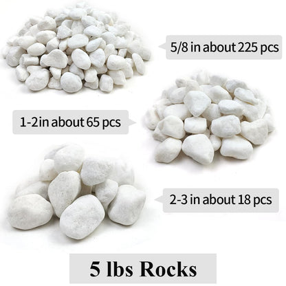 YISZM 5lb White Pebbles for Indoor Plants, 1-2 Inch Natural River Rocks, Snow White Decorative Stones, Ideal for Fish Tank, Vases, Crafting, Home Decor and Garden Landscaping Rocks