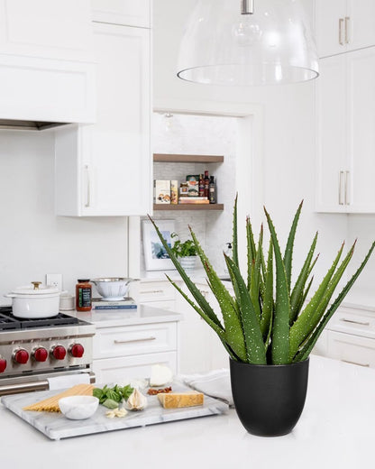 GnFlus Large Fake Succulent Aloe Vera Plants 16.5 Inch Artificial Succulents with Black Pot Faux Aloe Potted Plant for Desk Modern Home Office Bedroom Living Room Table Shelf Decor